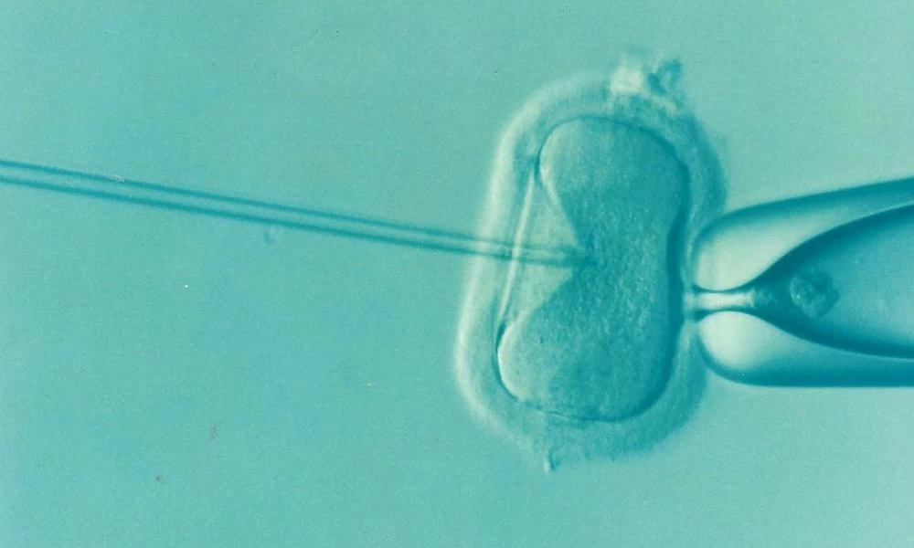 Στο Αττικόν η πρώτη εξωσωματική γονιμοποίηση από ζευγάρι με κορονοϊό